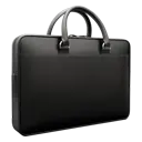 Laptop Bags & Cases