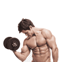 Fitness & Bodybuilding
